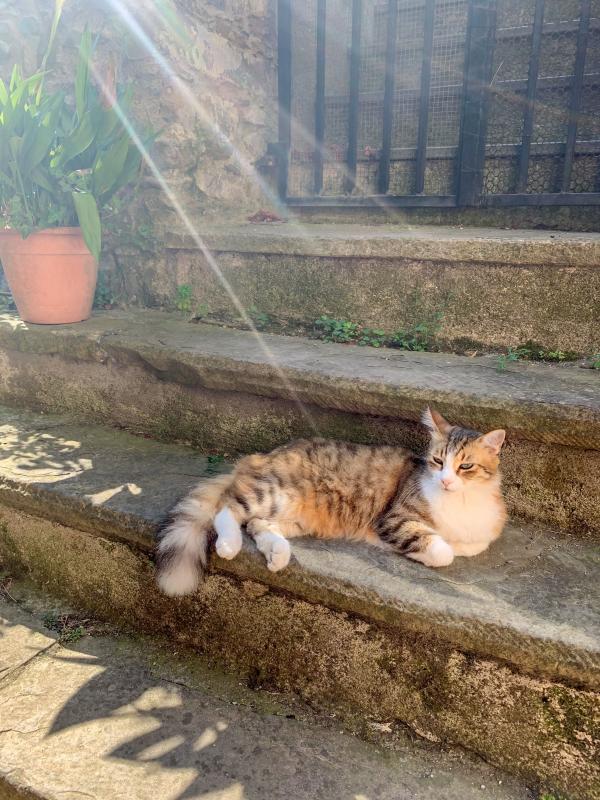 Hotel Mediterannée Menton - Italie