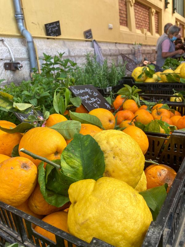 Hotel Mediterannée Menton - Tourisme Menton