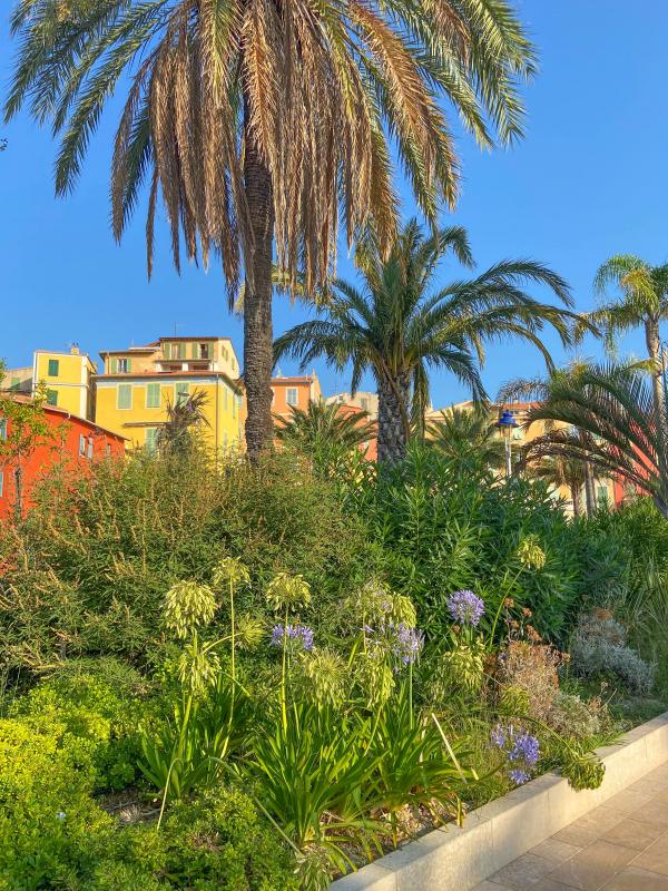 Hotel Mediterannée Menton - Tourisme Menton